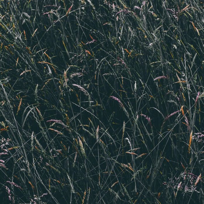 Simple Blog Post (Demo)