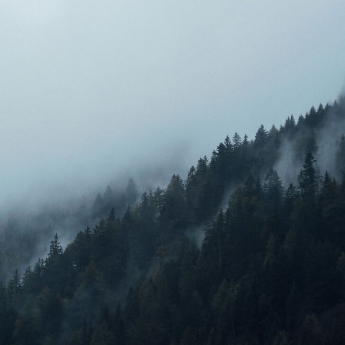 Simple Blog Post (Demo)